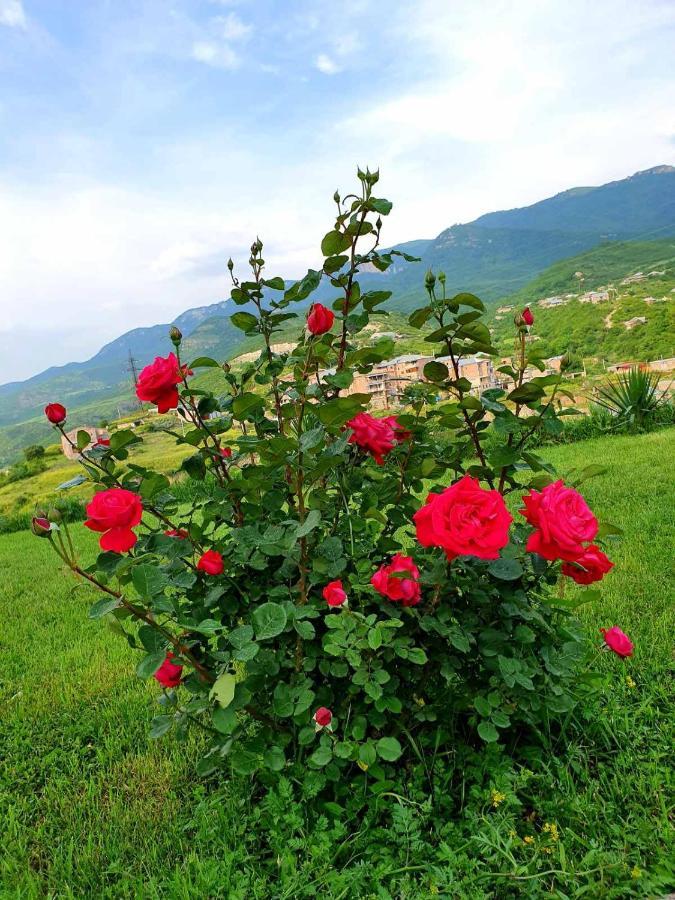 Guest House Ijevan'S Garden Екстериор снимка