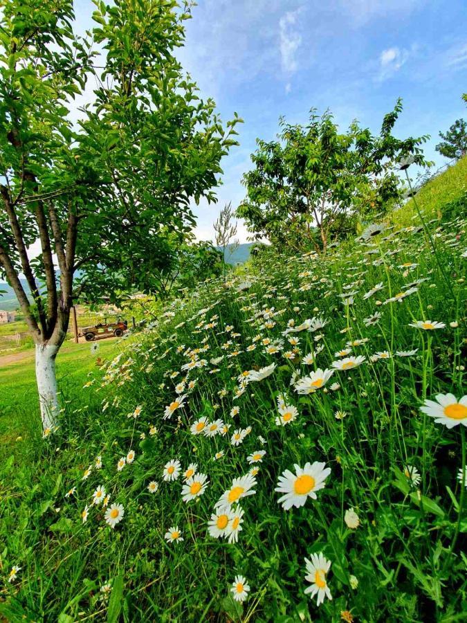 Guest House Ijevan'S Garden Екстериор снимка
