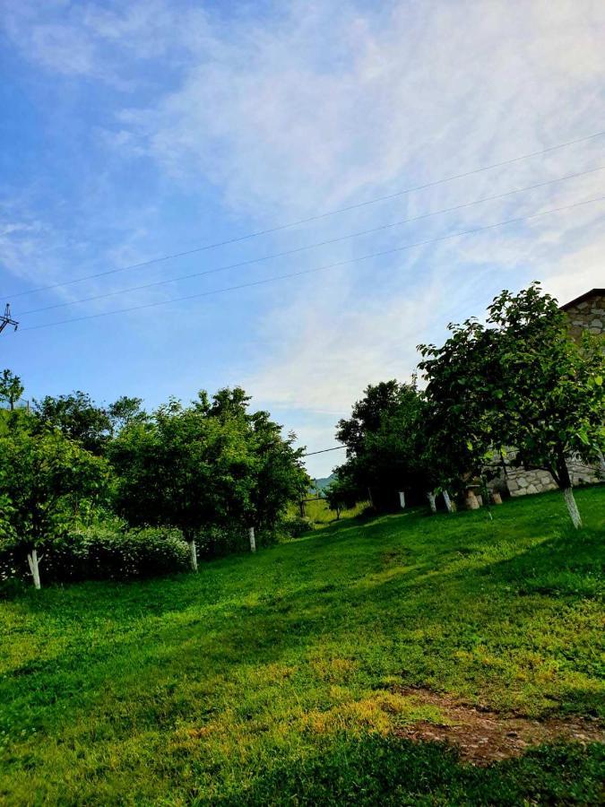 Guest House Ijevan'S Garden Екстериор снимка