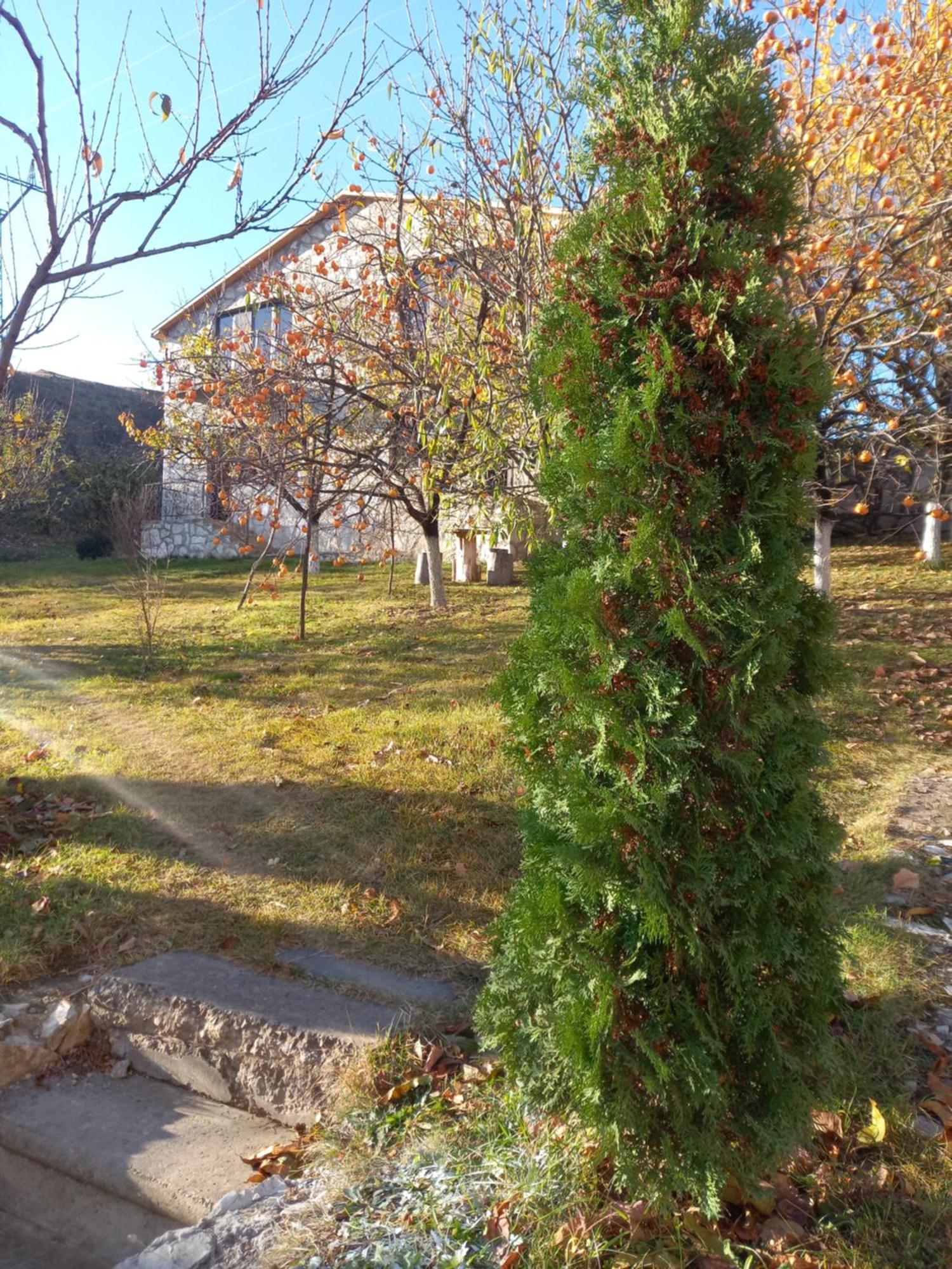 Guest House Ijevan'S Garden Екстериор снимка