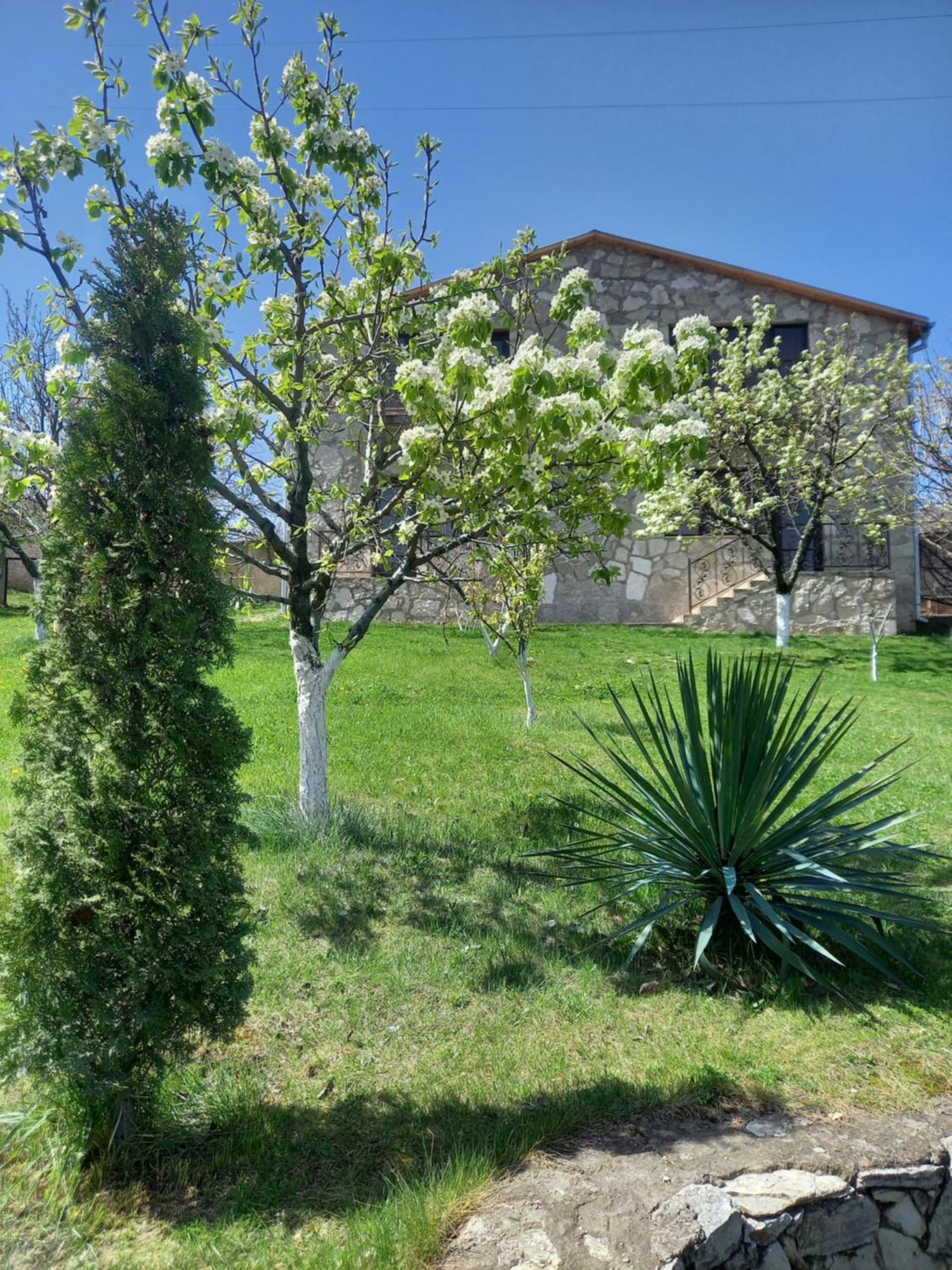 Guest House Ijevan'S Garden Екстериор снимка