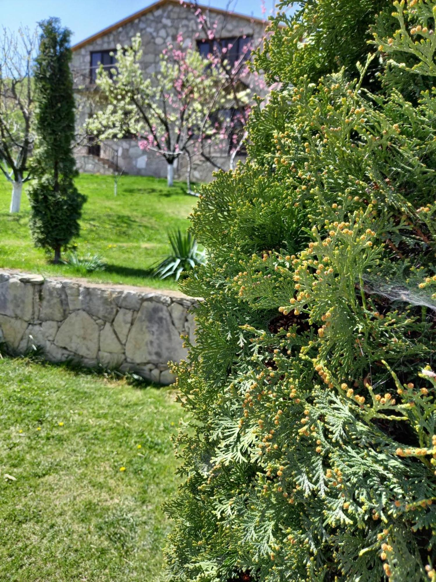 Guest House Ijevan'S Garden Екстериор снимка