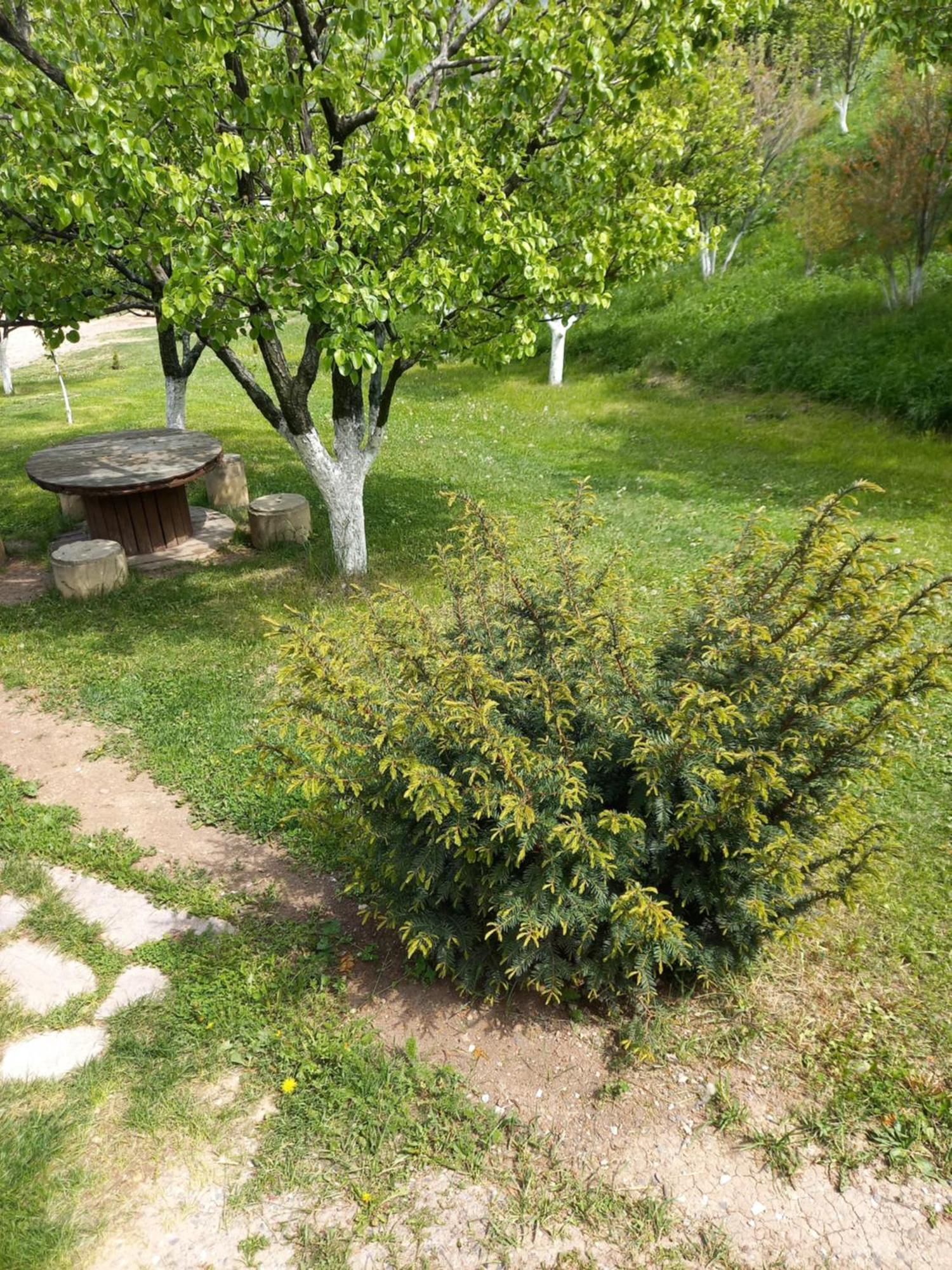 Guest House Ijevan'S Garden Екстериор снимка