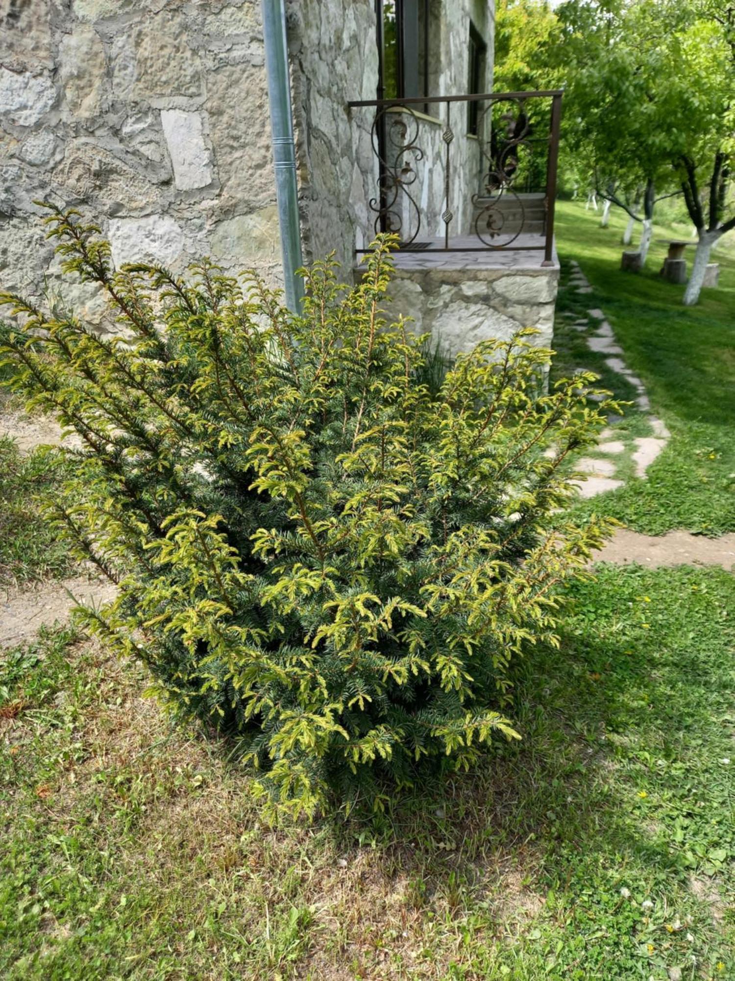 Guest House Ijevan'S Garden Екстериор снимка