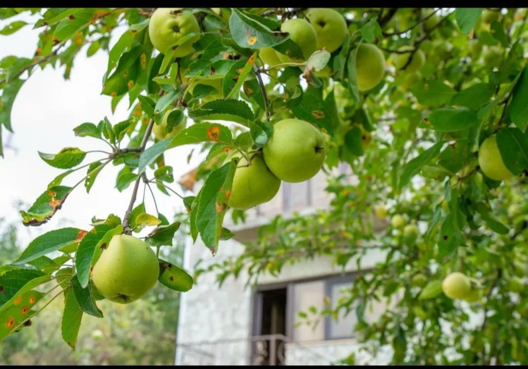 Guest House Ijevan'S Garden Екстериор снимка